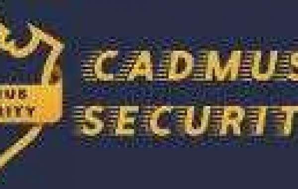Enhancing Security in British Columbia with Cadmus Security Services