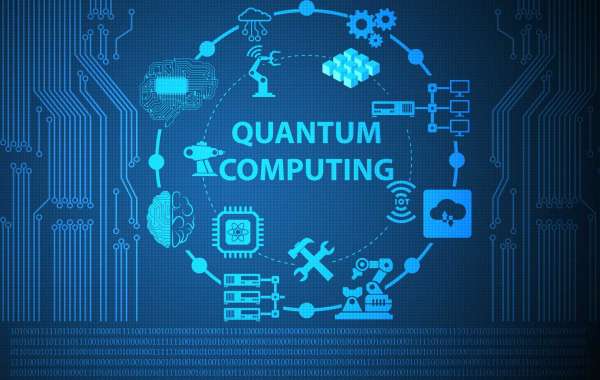 Quantum-Safe Networks: Segment Analysis of Cryptographic Innovations