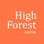 High Forest Capital Ltd Profile Picture