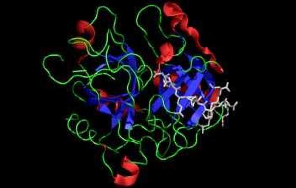 Thrombin Inhibitor is Estimated to Witness High Growth Owing to Rise in Cardiovascular Diseases