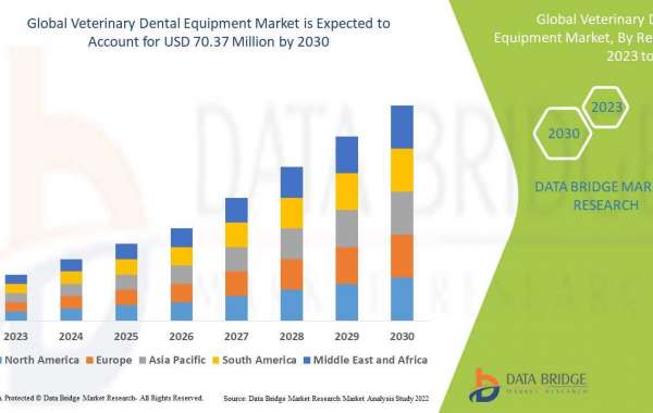 Veterinary Dental Equipment Market Trends, Drivers, and Restraints: Analysis and Forecast by 2030