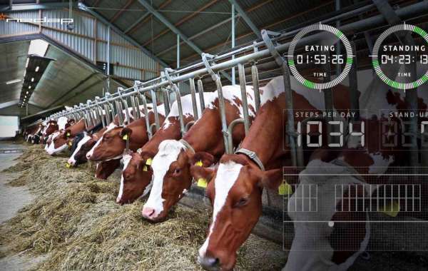 Livestock Monitoring Market is Estimated to Witness High Growth Owing to Rising Adoption of Precision Livestock Farming
