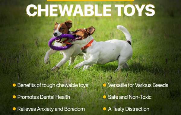 Why your Pup Needs a Dog Chew Toy