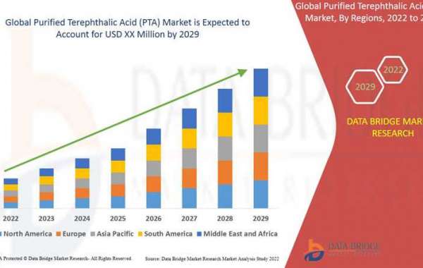 Purified Terephthalic Acid Market is Forecasted to Reach CAGR of 24.69% by 2029, Size, Share, Trends, Development Strate