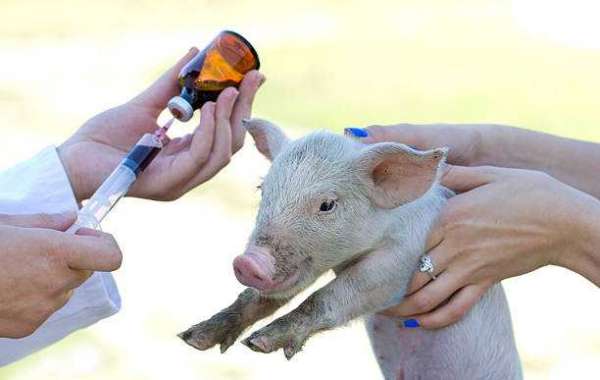 Porcine Vaccines Market is Estimated to Witness High Growth Owing to Growing Demand for Disease Control in Swine Produci
