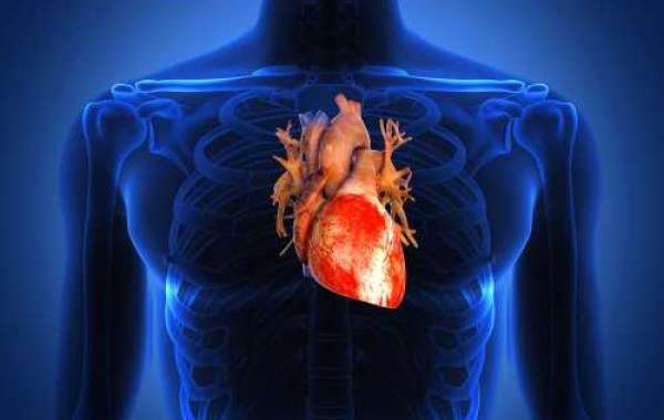 Aortic Stenosis Market Estimated to Witness High Growth Owing to Increasing Geriatric Population