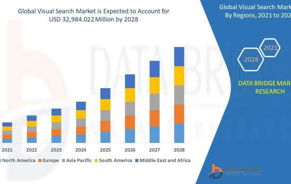 Visual Search   Market Size, Trends, Growth Analysis and Forecast By 2028