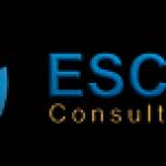 Escrow Consulting Group Profile Picture
