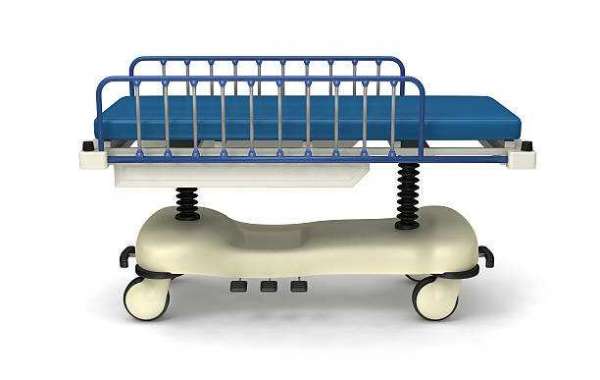 A Comprehensive Look at Powered and Manual Hospital Bed Market