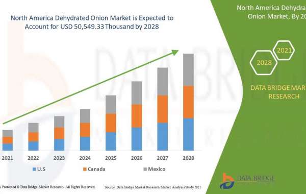 North America Dehydrated Onion Market Is Likely to Grasp the CAGR of 6.4% by 2028, Size, Share, Key Drivers, Trends, Cha