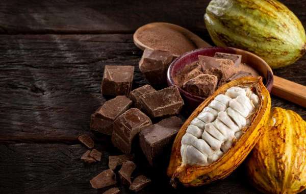Cocoa Market Quest: Unearthing the Finest Cocoa Treasures Globally