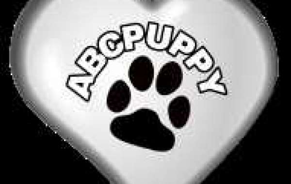 Maltipoo Breeders in Austin: Discover Your New Furry Family Member at ABC Puppy