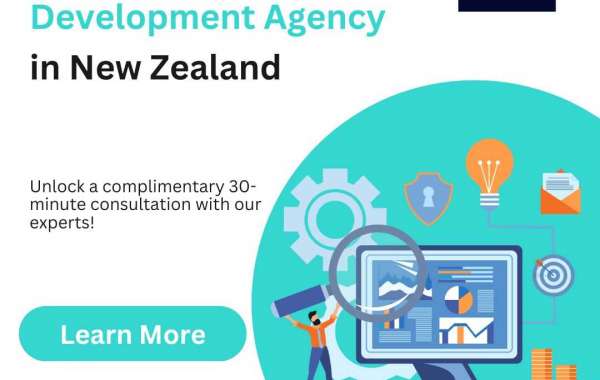 Affordable Best Ecommerce Website Development Company in Auckland | The Tech Tales of NZ