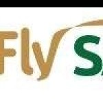 Fly Saudi Profile Picture
