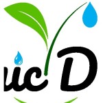 Organic Dew Profile Picture