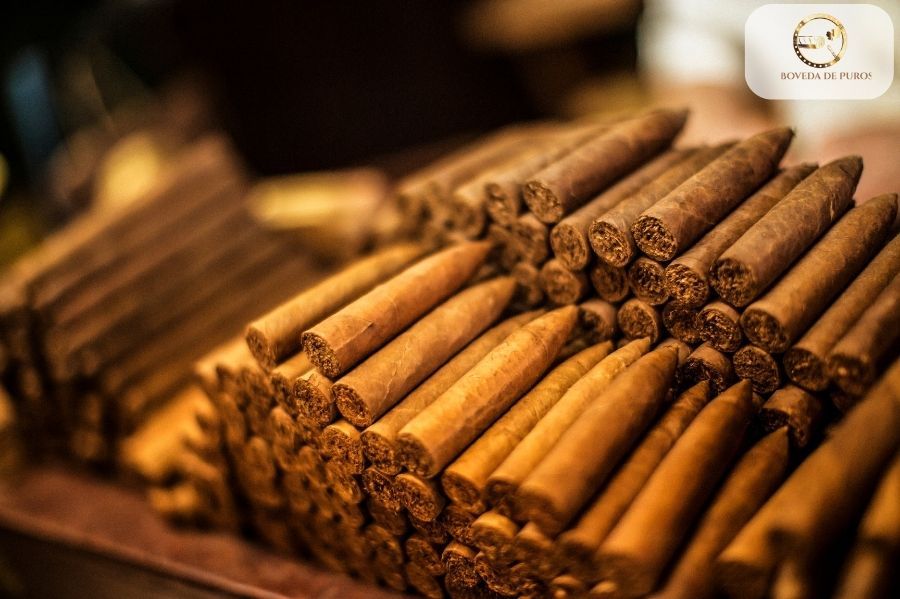 Top Reasons Why You Should Buy Cigars with La Boveda De Puros in Dubai, UAE La Boveda De Puros