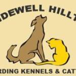 Bridewell Hilltop Profile Picture