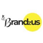 BRANDzUS Digital Marketing Company Profile Picture