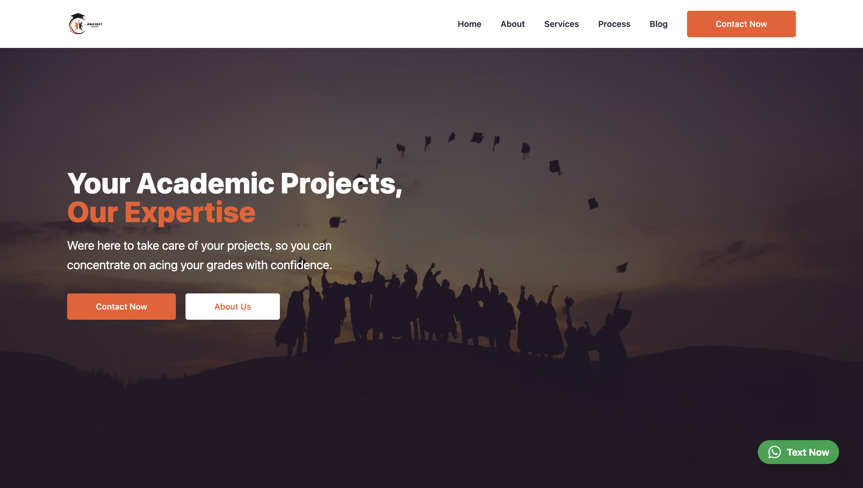College Project Maker: Tailored Services for Student Success