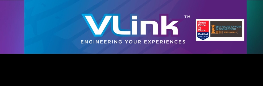 Vlink Inc Cover Image