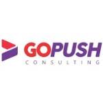 Go Push Profile Picture