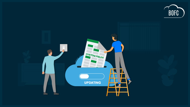 How to mass update custom fields in Salesforce? | BOFC