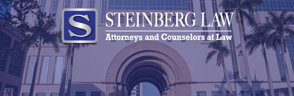 Brett Steinberg Law Cover Image
