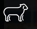 Little Lamb Restaurant Profile Picture