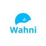 Wahni IT Solutions Profile Picture