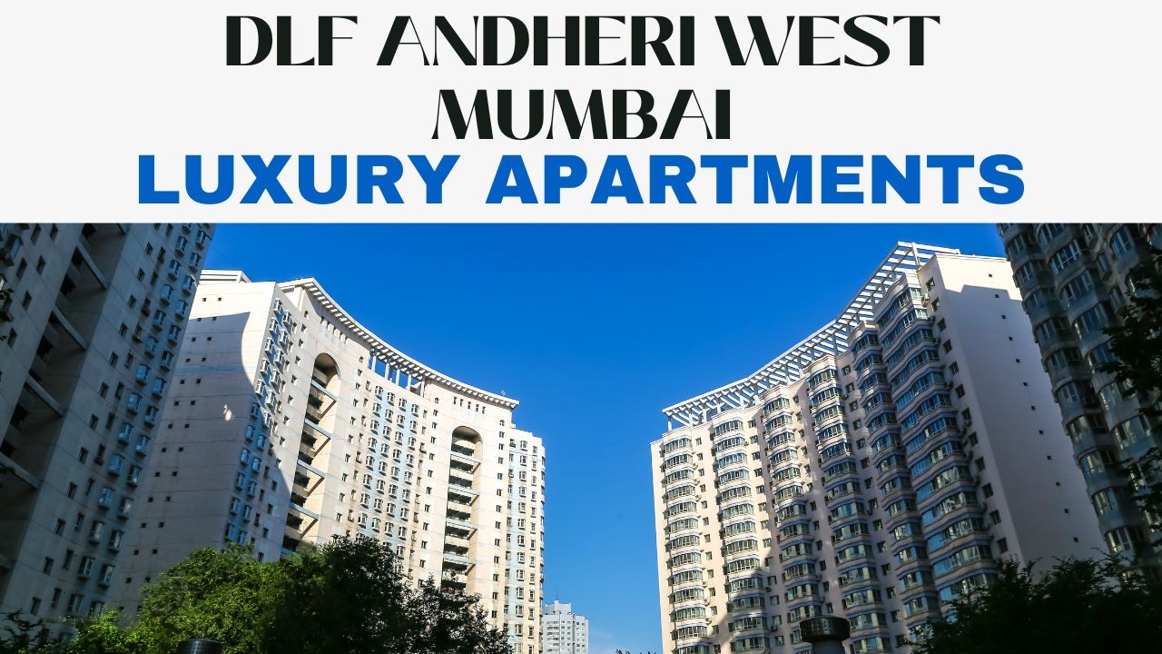 DLF Andheri West Mumbai Profile Picture