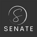 Senate Marketing | Social Media Agency Profile Picture