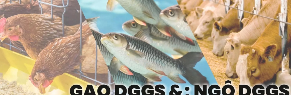 NutriGo Feeds Cover Image