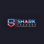Shark Traders Profile Picture