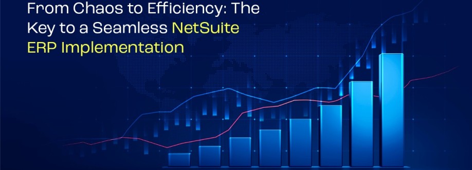 NetSuite OpenTeQ Cover Image