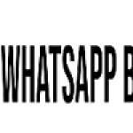 Whatsapp Bridge Profile Picture