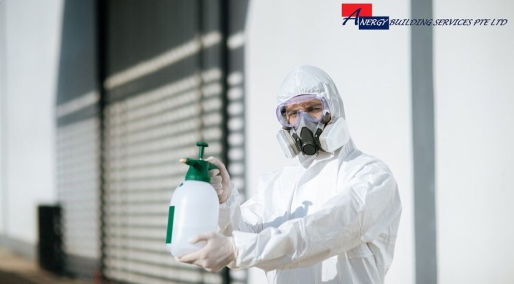 Ensuring Safety: The Vital Role of Disinfection Services in Singapore - The News Brick
