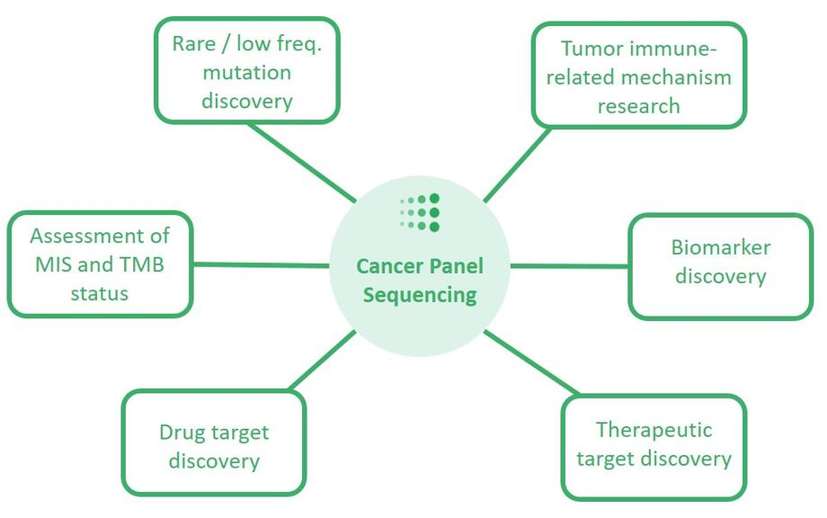 Cancer Panel Sequencing - CD Genomics
