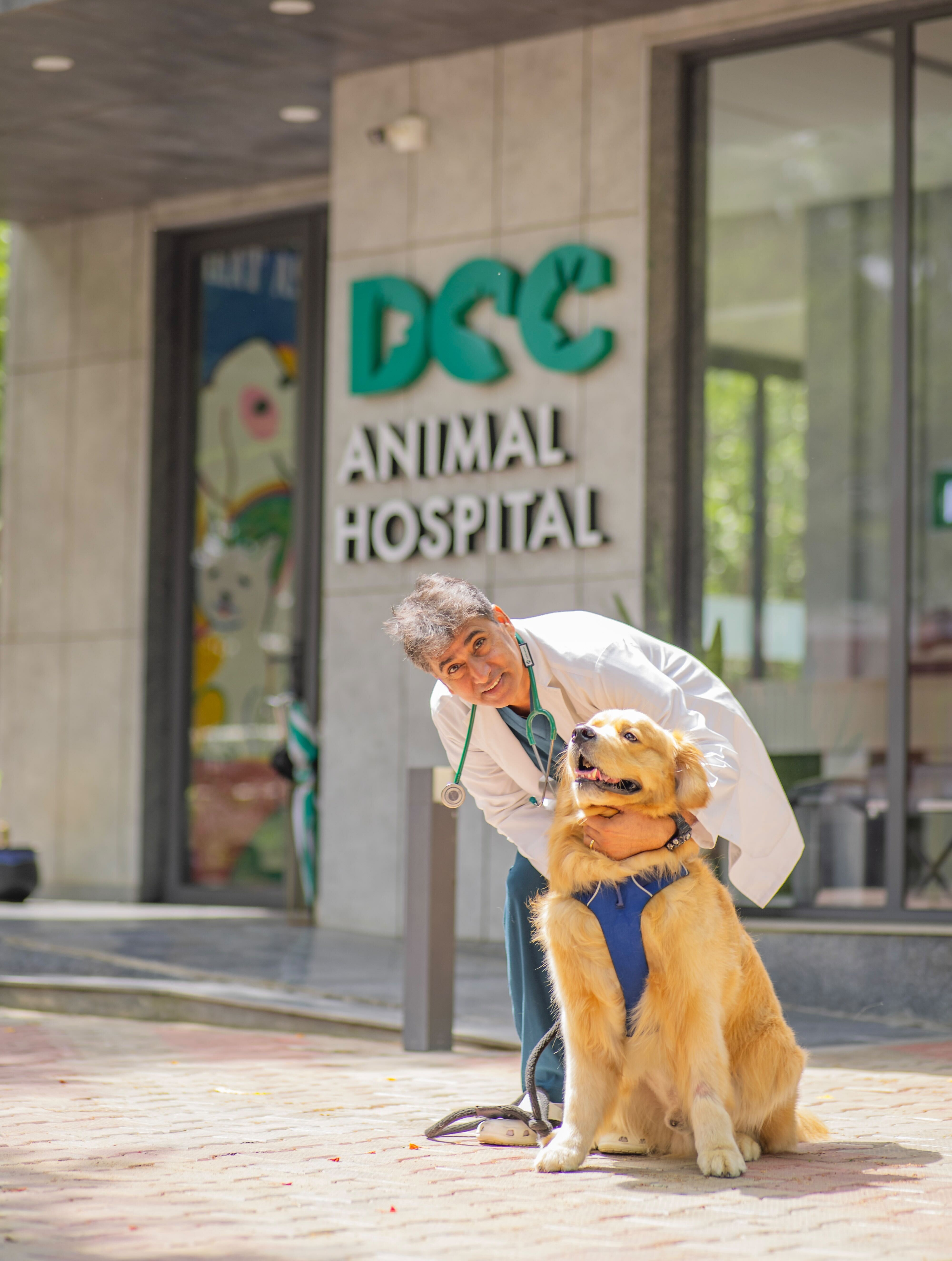 DCC Animal Hospital Profile Picture