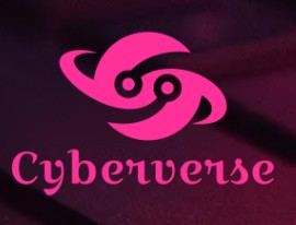 Cyber verse Profile Picture