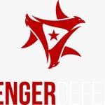 avenger defense Profile Picture