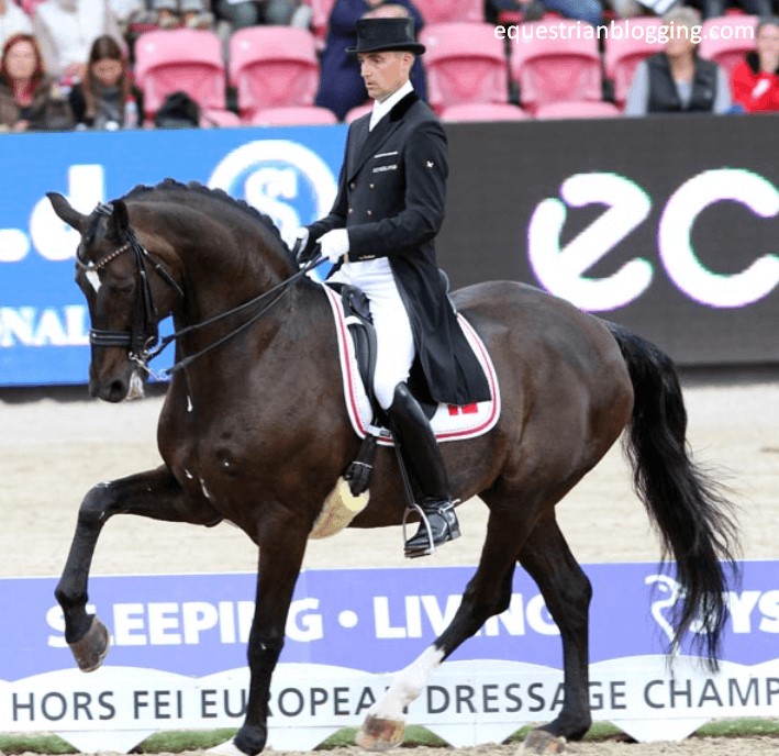The Larger Issue of Horse Abuse in Dressage