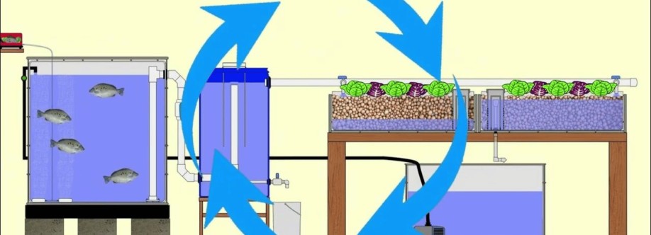 Aquaponic System Cover Image