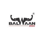 Balwaan Krishi Profile Picture