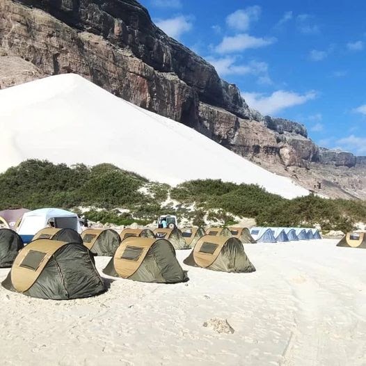 Unforgettable Experiences with An 8-Day Tour on Socotra Island