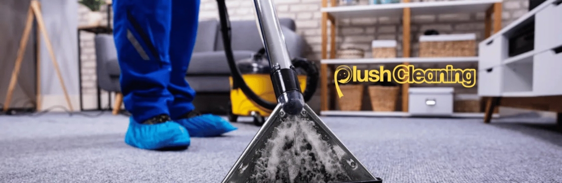 Plush Cleaning Cover Image