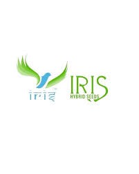 IRIS Seeds Profile Picture