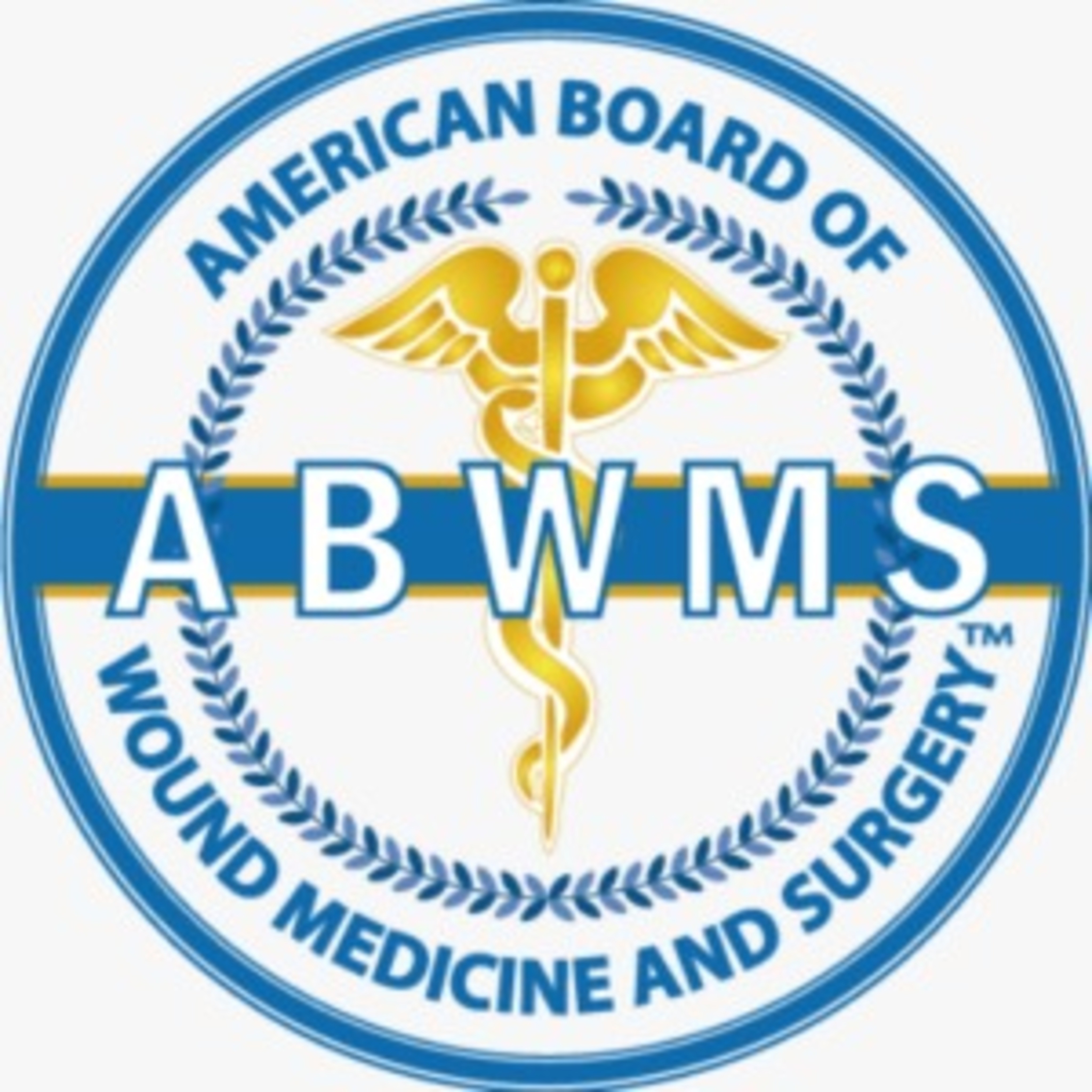 The American Board Of Wound Medicine And Surgery Profile Picture