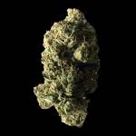 Skywalker OG Cannabis Strain Profile Picture