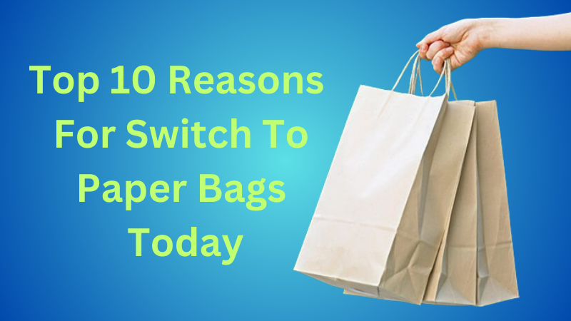 Top 10 Reasons For Switch to Paper Bags Today | by Vinay Sharma | Jun, 2024 | Medium