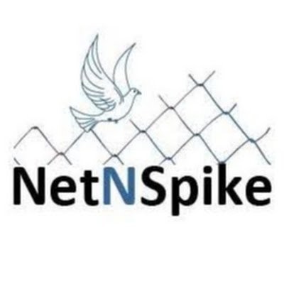 Netn Spike Profile Picture